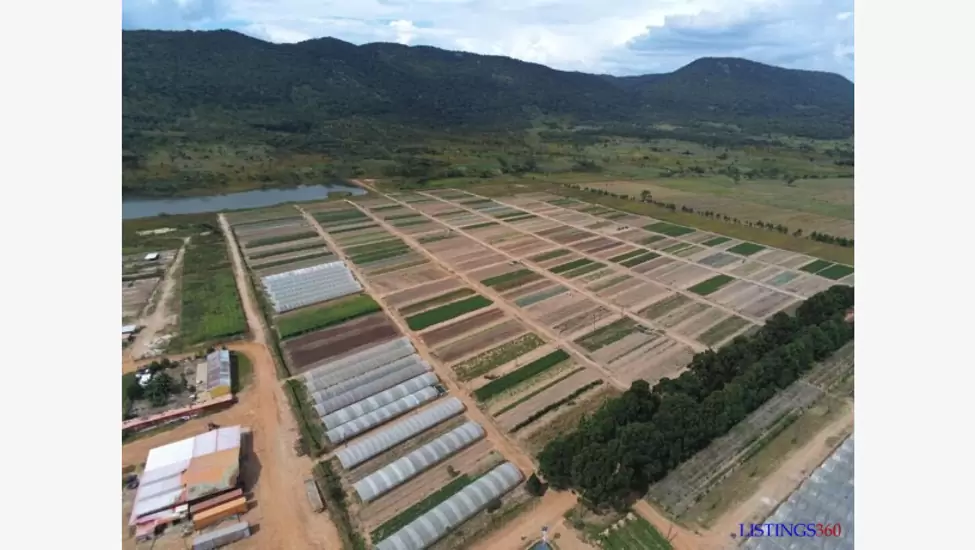 Fazenda localizada no Município da Kibala, província do Cuanza Sul.